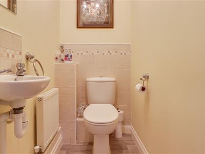 Picture 15